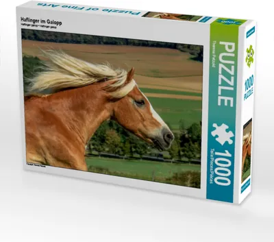Produktbild von Calvendo Haflinger im Galopp 1000 Teile Puzzle quer 640x480mm, Petzold Theresa; 7453659