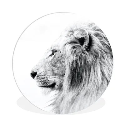 Produktbild von MuchoWow® Rundes Wandbild - Runde Bilder Löwe - Schwarz - Weiß - Tiere Ø 90 cm Kreis Wanddekoration Kunststoff - Wandkreis - Wandschmuck - Wand-Kreis - Wohnzimmer - Bild - Runde - Wanddeko - Dibond - Kunstdrucke