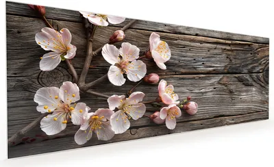 Produktbild von Küchenrückwand Spritzschutz Glas mit Motiv Kirschblüten Holz 40 x 40 cm