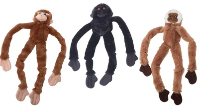 Image de Jouet pour chien Monkey Squeaky 41cm Skinneeez