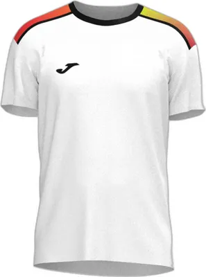 Produktbild von T-Shirt Joma 103509-200 für Herren