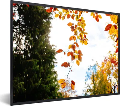 Produktbild von MuchoWow® Gerahmtes Poster Herbst - Laub - Natur 80x60 cm - Poster mit Schwarzem Bilderrahmen Wandposter Rahmen Foto Bilder - Schwarzem - Mit Gestell