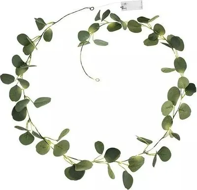 Image de Guirlande LED d'eucalyptus 2m (Fête - Décoration et accessoires)