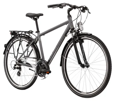 Produktbild von KROSS KROSS Trekkingrad Trans 2.0 28" grau