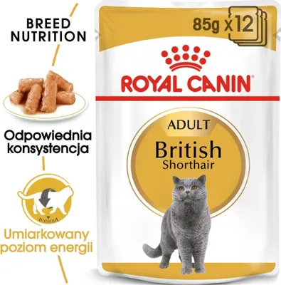 Produktbild von ROYAL CANIN British Shorthair Paket 12x85g