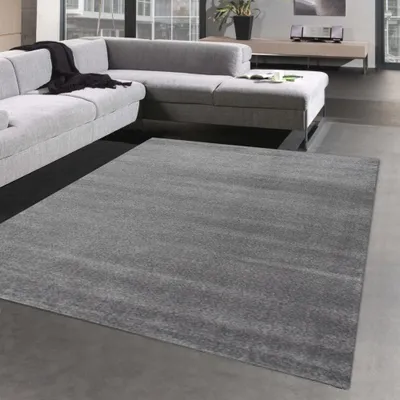 Obrázek produktu pro Koberec se světlým a tmavým efektem do pokojů pro hosty | nadýchaný | tmavě šedý Velikost - 200 x 290 cm