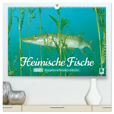 Produktbild von Heimische Fische: Karpfen, Forelle, Hecht (hochwertiger Premium Wandkalender 2027 DIN A2 quer), Kunstdruck in Hochglanz