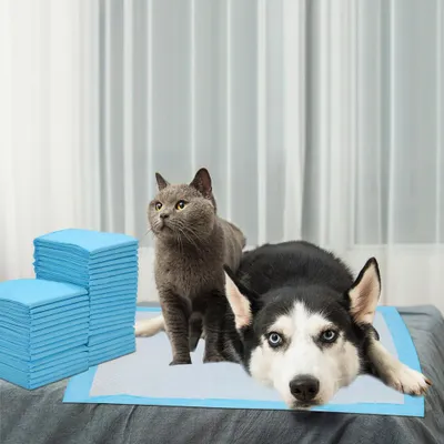 Immagine prodotto di Peviasot, 200 pezzi di assorbenti per cuccioli, 45x60 cm, tappetini igienici per cani usa e getta, tappetini per l'addestramento dei cani