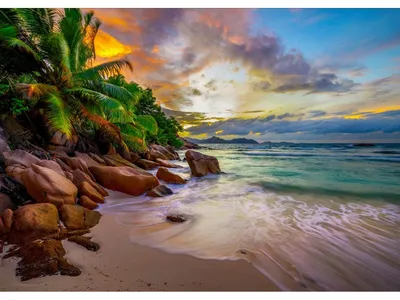 Image de ENJOY Puzzle Seychelles plages au coucher du soleil 1000 pièces