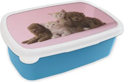 Produktbild von KitchenYeah® Lunchbox Brotzeit Brotdose 17x11 cm Kätzchen - Welpe - Rosa Kinder Brotzeitdose - Lunch - Kunststoff  - Brotbüchse - Sandwichbox - Lunchbox für Kinder