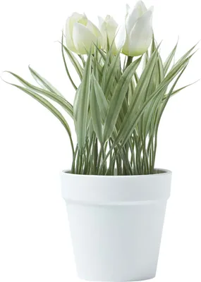 Obrázek produktu pro HOMESCAPES Umělé květiny Tulipány v bílém květináči 22 cm vysoké, bílé