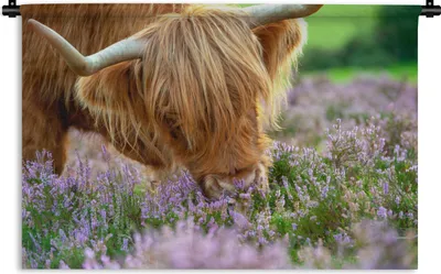 Produktbild von MuchoWow® Wandteppich Wandbehang Schottische Highlander - Gras - Heidekraut - Tiere 150x100 cm Tapisserie Dekoration Wandtuch - Waschbar - Tapisserien - Wand-Decke