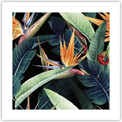 Produktbild von Poster - Poster ohne Rahmen - Pflanze Tropisch Blume - 40x40 cm - Wand Bild - Wanddeko - Wandbilder - Kunstposter - Wandposter - Bilder - Kunstdruck - Wanddekoration - Wandbild - P2XAC40x40-5093