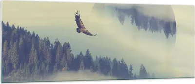 Produktbild von Bilder auf glas - Vogel Natur Wald - 140x50cm - Glasbilder - Wandbilder - Kunstdruck - zum Aufhängen bereit - Wanddekoration aus Glas - Glas Bilder - Wandbild auf Glas - Einteilig - GAB140x50-3853