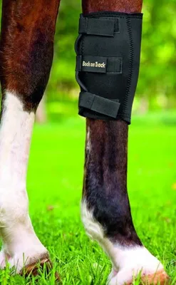 Produktbild von Back on Track Karpalgelenkschoner schwarz, Größe:M
