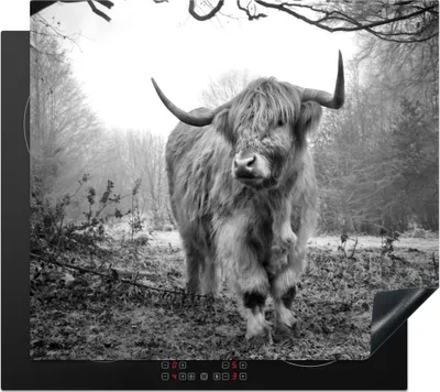 Produktbild von KitchenYeah© Herdabdeckplatte Schottischer Highlander - Wald - Nebel - Kuh - Tiere - Natur , 58x51cm, Küche Deko, Glaskeramikkochfeld Herdabdeckung, Abdeckplatte fùr Kochfeld
