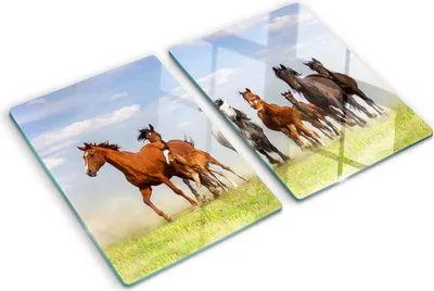 Imagen del producto de Cubierta para placa de cocina – Cubierta para placa de inducción – Placa de vidrio protectora – 2x40x52 cm – Placas de vidrio protectoras para cocina – Vidrio templado – Caballos galopando