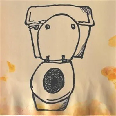 Produktbild von Full Toilet Lp