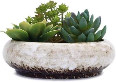 Image de Pot en céramique pour plantes succulentes, 18,5 cm, blanc