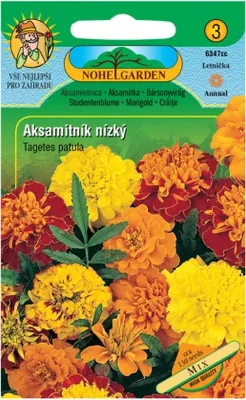Obrázok produktu pre Aksamit nízka, nízko kvitnúce, zmiešané