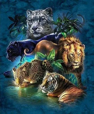 Produktbild von Malen nach Zahlen: Große Katzen – Löwe, Gepard, 50x40 cm, mit Rahmen, kreativ