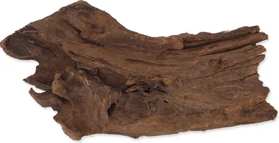 Produktbild von Repti Planet 007-59002, Fingerwurzeln, Holz, 1 Stück(e), 290 mm