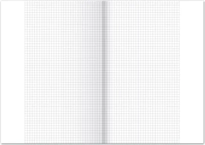 Image de Papier de chancellerie Staufen, ligne 26, quadrillé avec marge, 80 g/m², plié DIN A3 à DIN A4, 250 feuilles, blanc