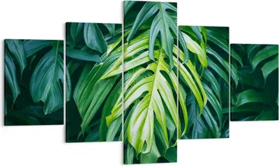 Produktbild von Bild auf Leinwand - Leinwandbild - Blume Natur - 125x70cm - Wand Bild - Wanddeko - Wandbilder - Leinwanddruck - Bilder - Kunstdruck - Wanddekoration - Leinwand bilder - Wandkunst - EA125x70-3951