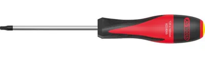 Obrázok produktu pre Skrutkovač Ultimate Torx®, T10