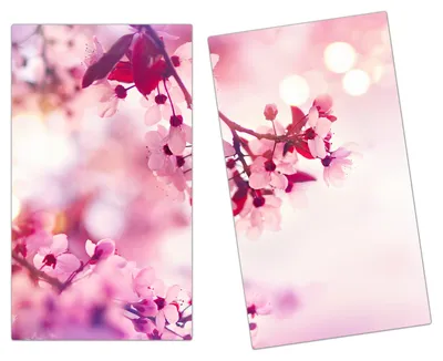 Produktbild von Spritzschutz Herdabdeckplatte Schneidebrett aus Glas Frühlingsblüte 2-Teilig (60x52cm)