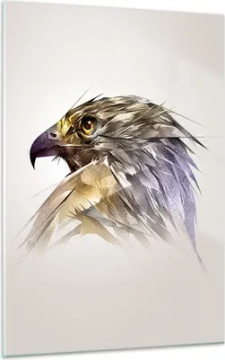 Produktbild von Bilder auf glas - Einteilig - Adler Vogel Feder - 50x70cm - Glasbilder - Wandbilder - Bilder - zum Aufhängen bereit - Wanddekoration aus Glas - Glas Bilder - Wandbild auf Glas - GPA50x70-3936