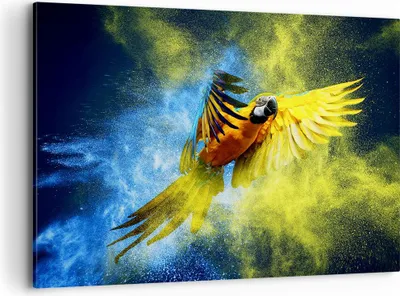Produktbild von Bild auf Leinwand - Leinwandbild - Papagei Vogel Feder - 100x70cm - Wand Bild - Wanddeko - Leinwanddruck - Bilder - Kunstdruck - Wanddekoration - Leinwand bilder - Wandkunst - AA100x70-3666