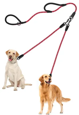Doppelleine für Hunde, reflektierend, 2 Griffe, rot, 1,2x195 cm