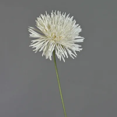 Produktbild von artplants.de Kunst Chrysantheme Nandita, weiß, 60cm, Ø15cm - Chrysanthemen Kunstblumen