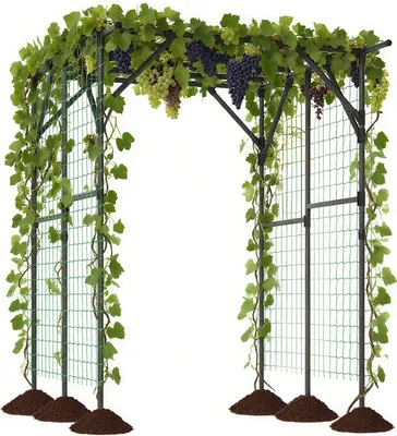 Image de COSTWAY Treillis pour plantes grimpantes, support pour plantes grimpantes en métal revêtu de PE, arc de treillis grand, arche de portail arêtes, arc de jardin 200x150x197 cm, noir