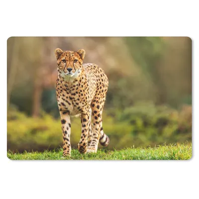 Produktbild von MuchoWow® Mauspad Mousepad Wildtiere - Gras - Leopard - Natur 27x18 cm - Mousepads - Maus Mat - Pad - Mausunterlage - Büroartikel - Desk Matten