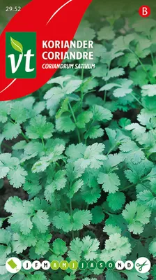 Produktbild von Koriander Samen - Ca. 1,5 gr | VT_2952