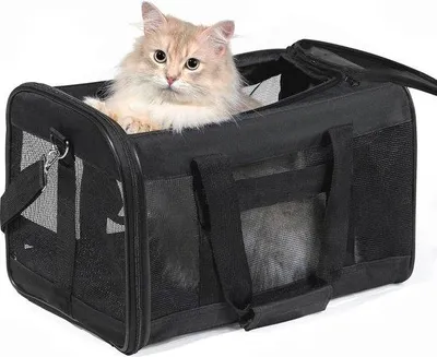 Produktbild von Gepolstrechter Hunde- und Katentransportbeutel für Haustiere bis 17 kg