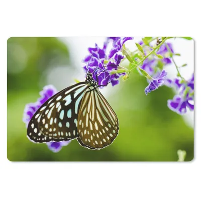 Produktbild von MuchoWow® Schreibtischunterlage Lavendel - Schmetterling - Botanisch 60x40 cm - XXL Mauspad - Großes Mauspad