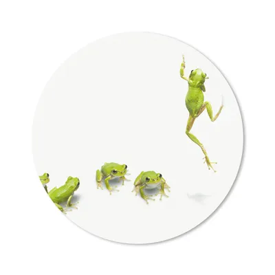 Produktbild von MuchoWow® Mauspad Mousepad Frosch - Tiere - Grün 40x40 cm - Mousepads - Maus Mat - Pad - Mausunterlage - Schreibtisch Accessoires