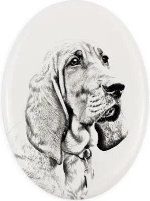 Immagine prodotto di Art-Dog Targa commemorativa in Vetroceramica – Redbone Coonhound
