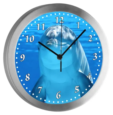 A wall clock with a dolphin image on it, set against a blue underwater background.