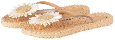 Image de Tongs Ilse Jacobsen Cheerful pour Femme
