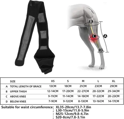 Obrázok produktu pre Dog Elbow Protector XL, chrániče lakťov pre psov, podpora pri dysplázii a artritíde, pre malé a stredne veľké
