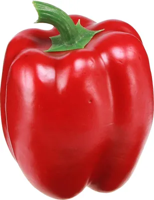 Produktbild von Künstliche Paprika Dekoration für Küche und Schaufenster