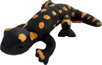 Image de Salamandre tachetée 20 cm - Beppe