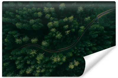 Obrázek produktu pro Muralo XXL samolepicí FOTOTAPETA cesta lesní pohled pohled z ptačí perspektivy 3D efekt (š) 312 cm x (v) 219 cm tapeta fototapeta obývací pokoj ložnice tapeta 4572
