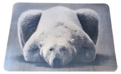 Produktbild von Platzdeckchen Eisbär Schwarz