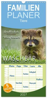 Produktbild von Familienplaner 2027 - Waschbär - Niedlicher Allesfresser mit 5 Spalten (Wandkalender, 21 x 45 cm) CALVENDO