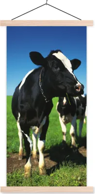 Produktbild von MuchoWow® Textilposter Kuh - Gras - Tiere 40x80 cm mit holzfarbenen Rahmen - Wohnzimmer